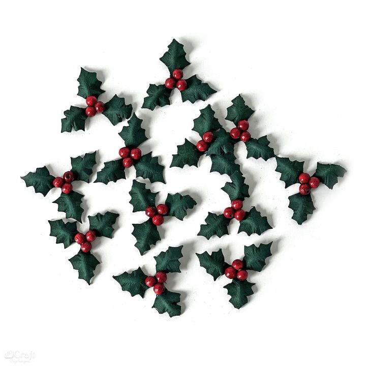 Levně 3D papírové květiny | Vánoční cesmína 12 ks (vánoční dekorace)