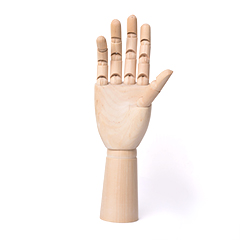 Dřevěný model ruky - mužská a ženská ruka